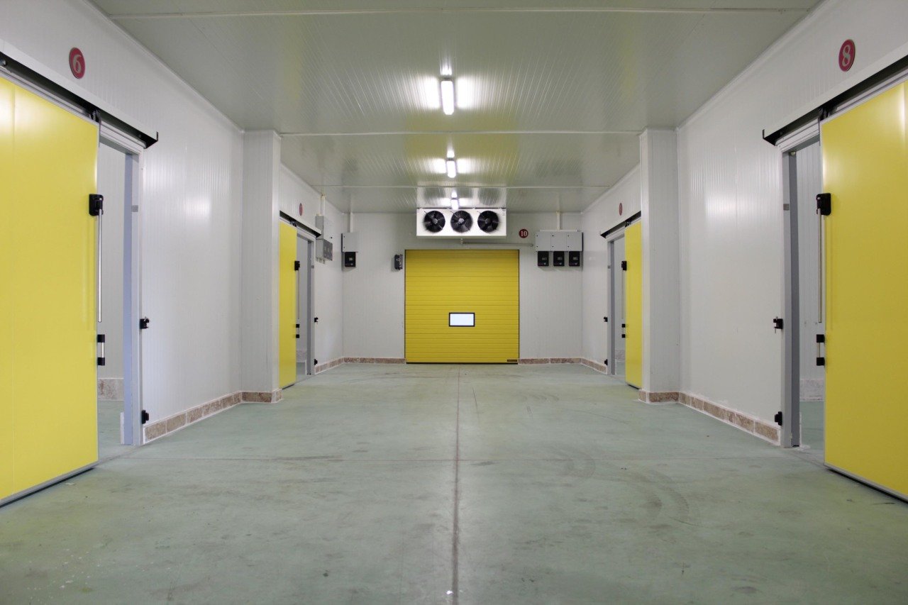 SLIDING DOOR 160x250 (FROZEN)