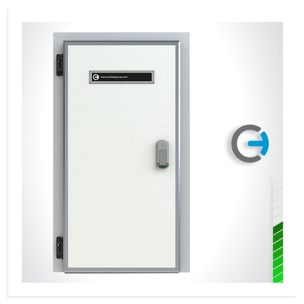 HINGED DOOR 100x200 (FROZEN)