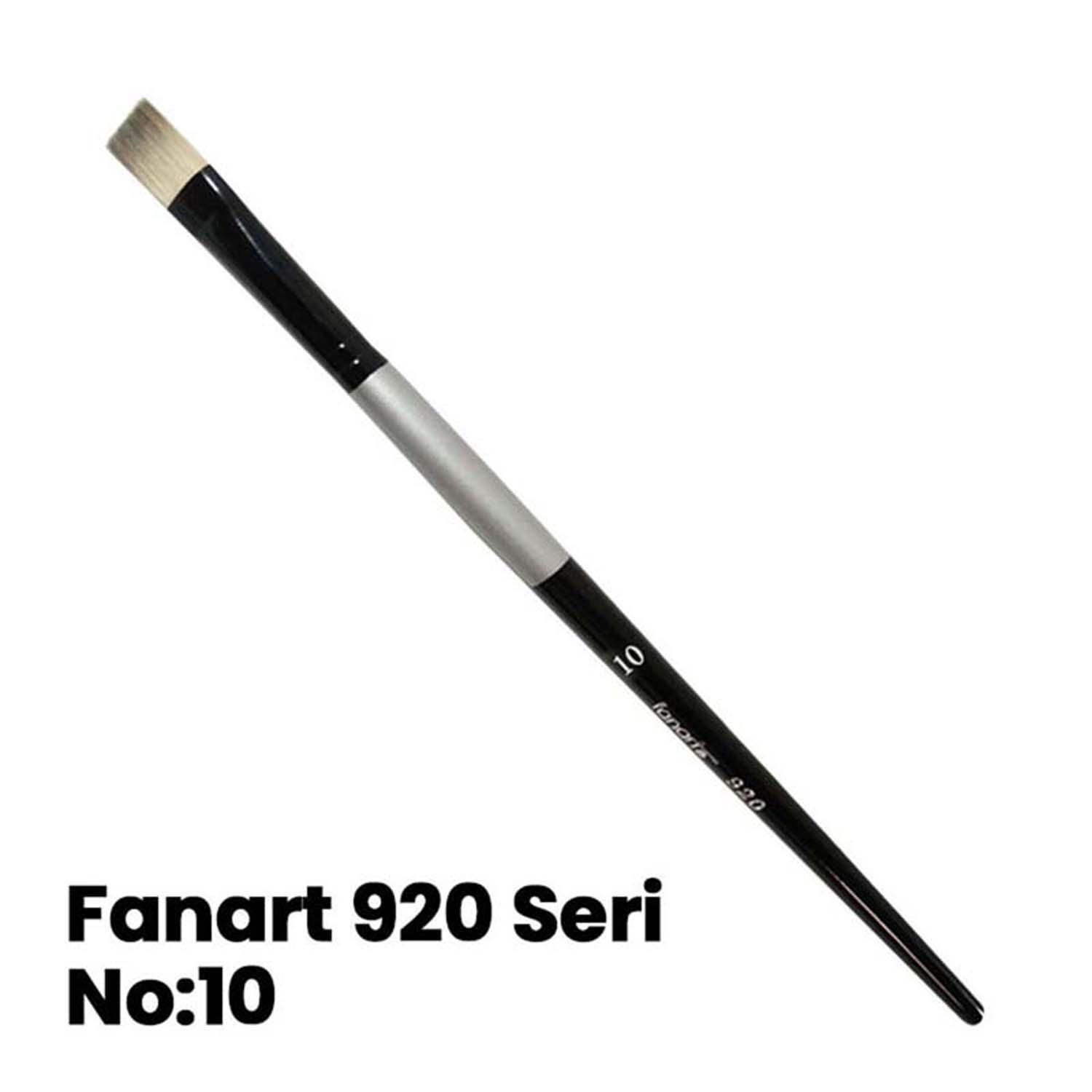 Fırça Fanart 920/10
