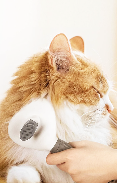 Otomatik Temizlenen Tuşlu Evcil Hayvan Fırçası Kedi Köpek Tüy Toplayıcı Tarak