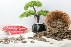 Haluk Aydın Kuruyemiş Kavrulmuş Yerli Tuzsuz Siyah Ay Çekirdeği 500 G