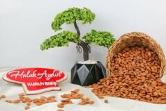 Haluk Aydın Kuruyemiş Çiğ Kayısı Çekirdeği 500 G