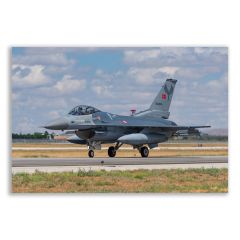 F16 Savaş Uçağı  Tablosu  - TSK117