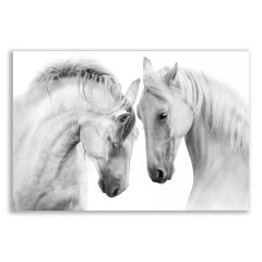 Siyah Beyaz At Çifti Tablosu  - ANL112