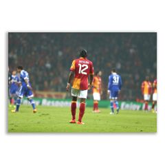 Galatasaray  Didier Drogba Tablosu  - FTB116