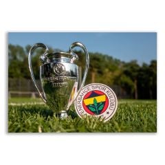Fenerbahçe UEFA Şampiyonlar Ligi Kupası Tablosu  - FTB118