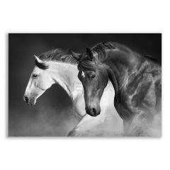 At Çifti Siyah Beyaz Tablosu - BLK133
