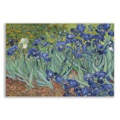 Vincent Van Gogh Bahçedeki Süsenler Tablosu - FMS119