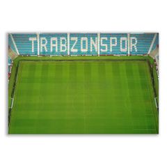 Trabzonspor Medical Park Stadı Tablosu  - FTB123
