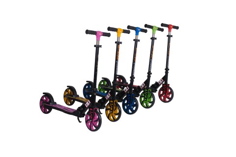 DİPSY 2 Teker Katlanabilir Scooter (12+ Yaş)
