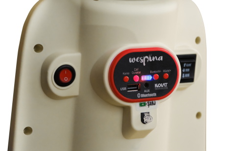 Wespina 3 Tekerli Akülü Motor (2-6 Yaş)