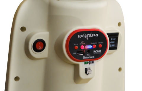 Wespina 3 Tekerli Akülü Motor (2-6 Yaş)