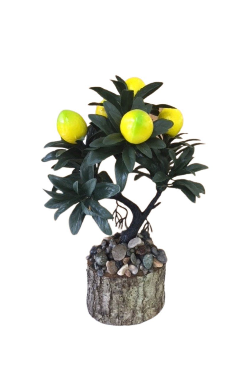 Kütük saksıda limon ağacı
