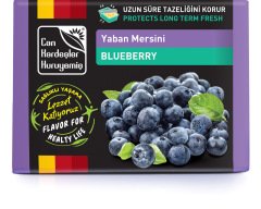 Yaban Mersini ( Blueberry ) 300 g Pkt