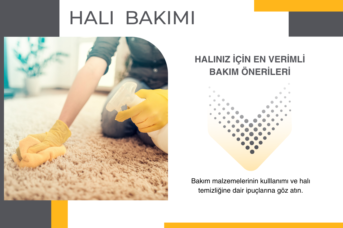 Halı Bakımı
