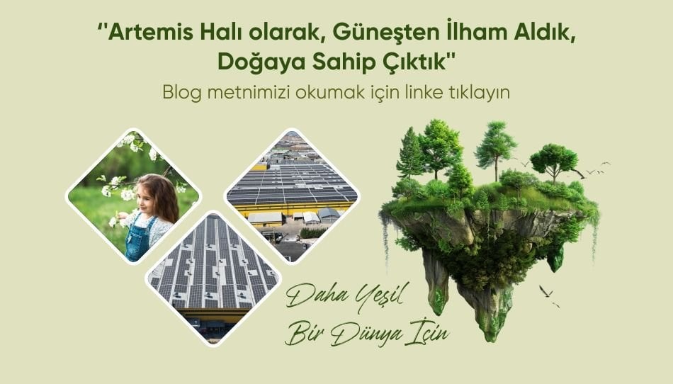 Güneşten İlham Aldık, Doğaya Sahip Çıktık