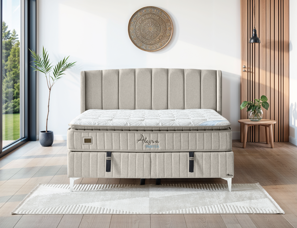 Alegra Master Set Gri - 160x200