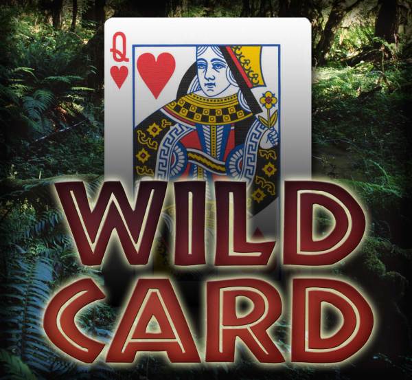 WILD CARD