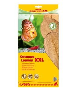 Sera Catappa Yaprağı Xxl 32Cm(10 Adet)