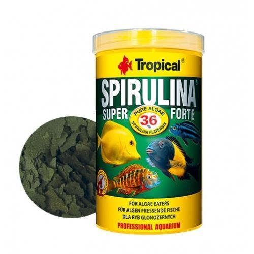 Tropical Spirulina Super Forte pul yem 250 gram
