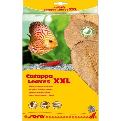 SERA Catappa Yaprağı  XXL 32CM(10 ADET)