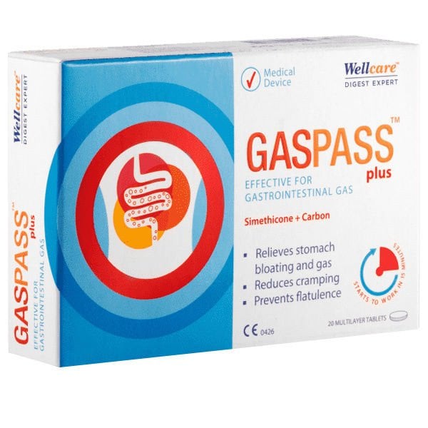 Wellcare Gaspass Plus 20 Tablet