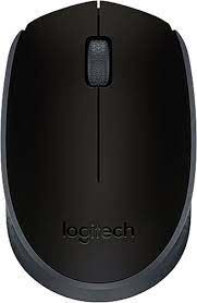 LOGİTECH MAUSE KABLOSUZ M171