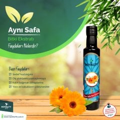 AYNISAFA SIVI EKSTRATI 250 ML