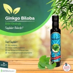 GİNKGO BLOBA SIVI EKSTRATI 250 ML