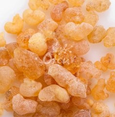 Günlük Sakızı Boswellia