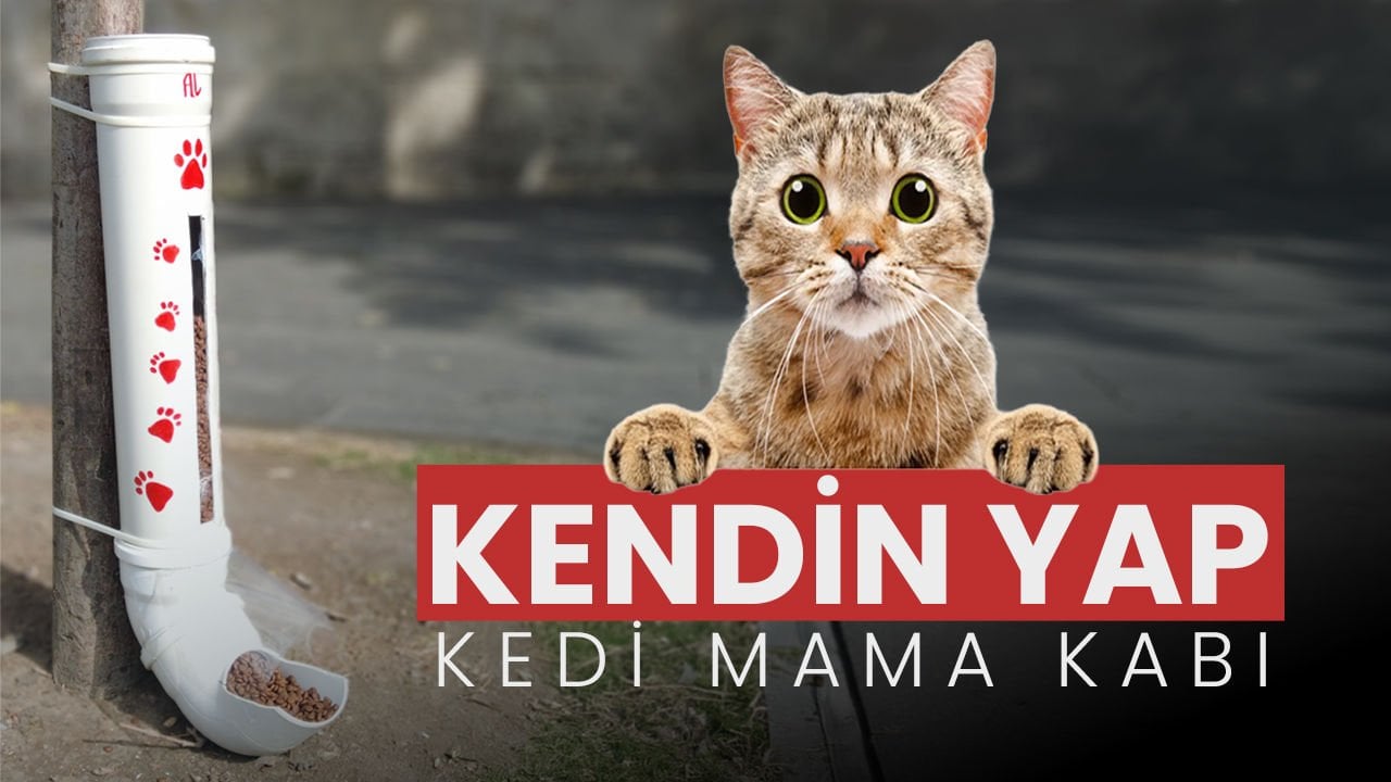 Minik Dostlarımız için Özel Mama Kabı Yapımı: Adım Adım Rehber