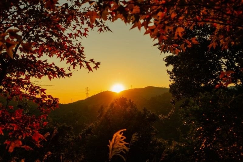 Sonbaharda Elektrik & Aydınlatma Trendleri: Doğal Işığın Yerini Almak