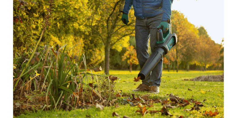 Sonbaharda Bahçe Bakımı: Kışa Hazırlığın Altın Kuralları