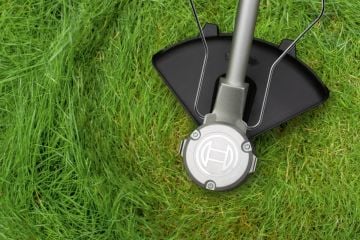 Bosch Akülü Çim Biçme Makinesi AdvancedGrassCut 36 (Aküsüz) - 06008C1K01