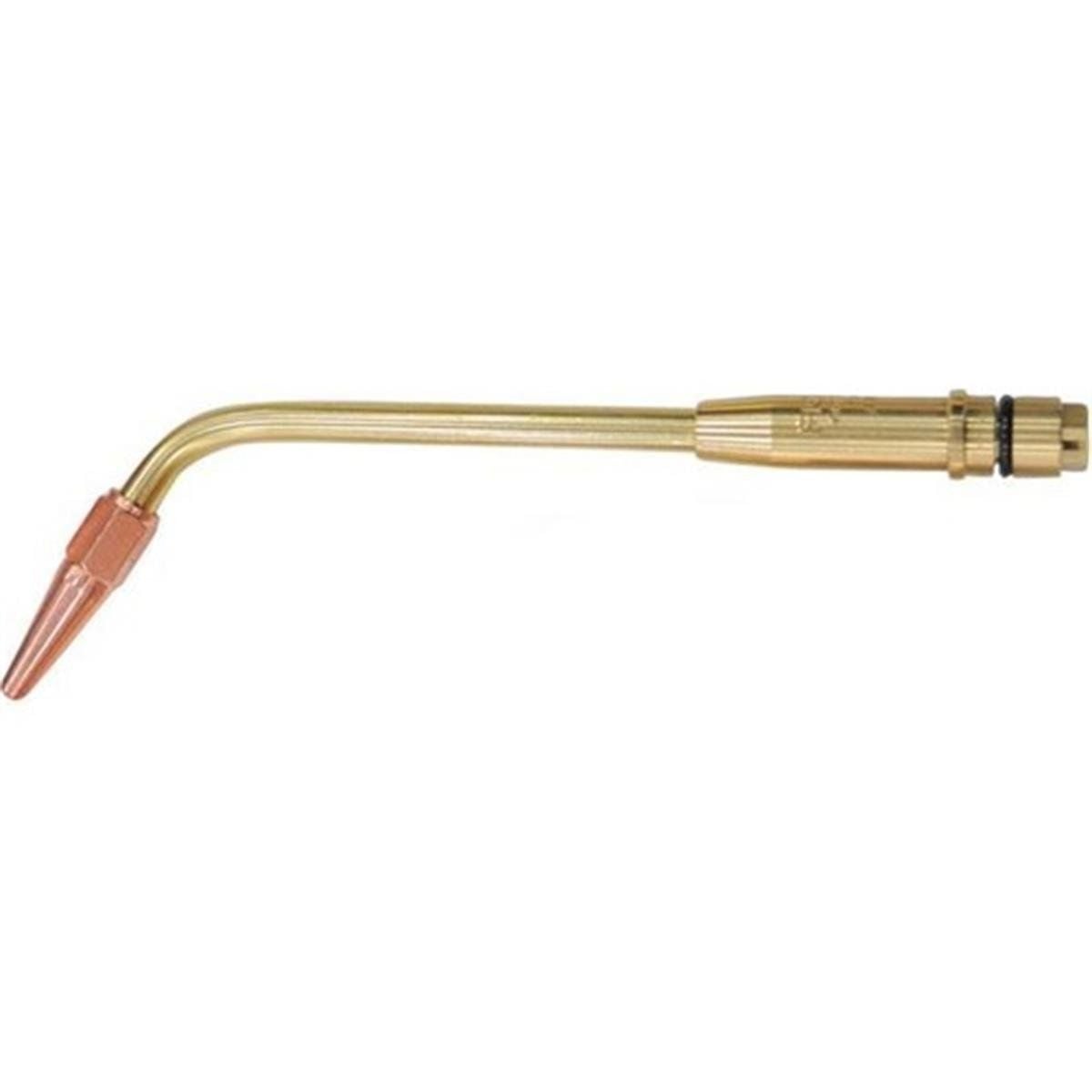 Gloor Şalumo Bek No: 1