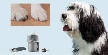 Dremel Bağlantı Parçası Evil Hayvan Tırnak Bakımı Koruyucu Başlık Kiti (AT02-PGK) - 2615PG02JA