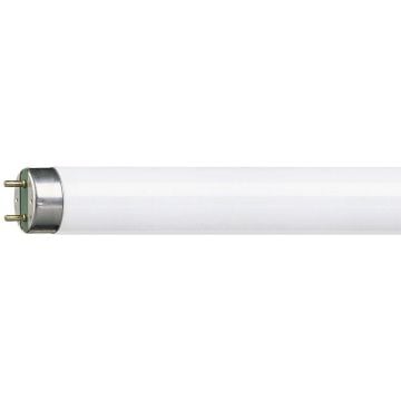General Electric 36W/840 Florasan Ampul