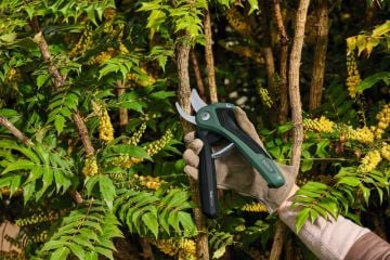 Bosch Akülü Bahçe Makası EasyPrune (Entegre Akü) (06008B2100) - 06008B2100