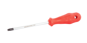 İzeltaş Delikli Torx Uçlu Tornavida