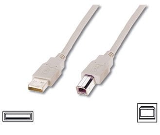 Assmann Usb 2.0 Bağlantı Kablosu, Usb A Erkek - Usb B Erkek, 5 Mt, Awg 28, Usb 2.0 Uyumlu, Ul, Bej Renk