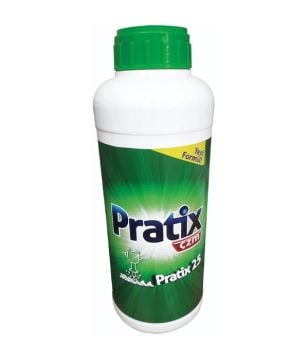 Pratix Harç & Beton Eritici 1000 gr