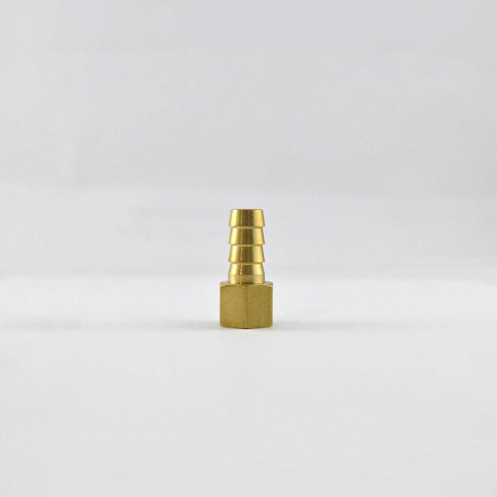 Brio Hava Hortum Dişi Rekoru 1/4 10Mm