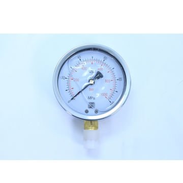 Worldforce Hidrolik Manometre 1000 Bar M20x1,5
