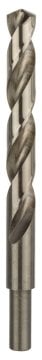 Bosch Metal Matkap Ucu HSS-Co DIN 338 (Altın) 13,0x151 mm (1 Adet) - 2608585871