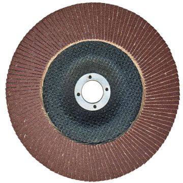 Nikon Flap Disk 180 Mm 40 Kum - NIK33071