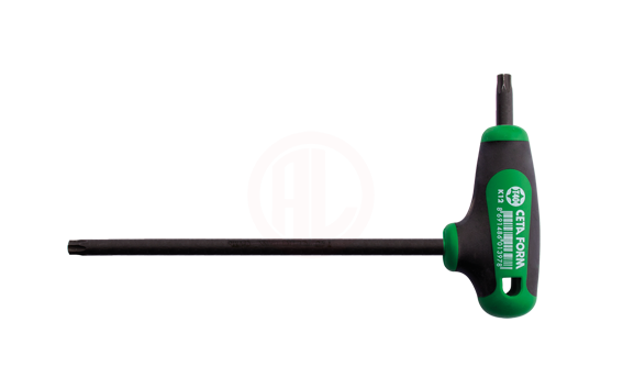Ceta Form T Saplı Torx Anahtar T40