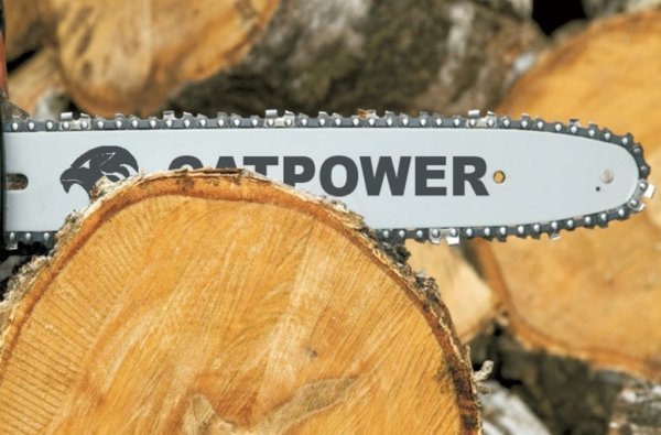 Catpower Benzinli Ağaç Kesme Testeresi 2010 (45 Cm)