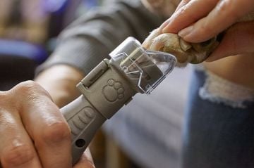 Dremel El Motoru Sistemi 7020 Evcil Hayvan Tırnak Bakımı - F0137020JA