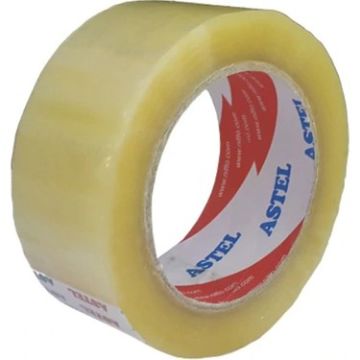 Astel Koli Bandı 45X100