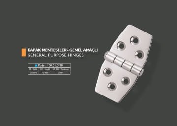 Armetal Sabit Kapak Tipi Menteşe Polisajlı 304 Kalite 38X76X2,0 Mm (Kısa Köşeli - Kısa Köşeli)